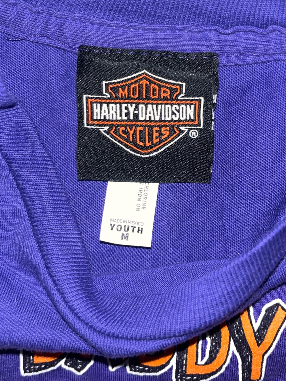 Harley-Davidson Purple Tee with Orange and White Logo - Picture 3 of 3